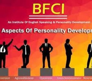 Best English speaking BFCI Institute